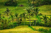 Full Day Tour to Water Temples UNESCO Rice Terraces in Bali