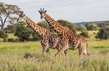 3 Days Explore Zambia Zimbabwe and Chobe Park in Botswana