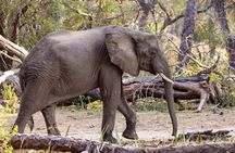 3 Days Explore Zambia Zimbabwe and Chobe Park in Botswana