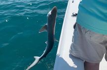 6 Hour Private Fishing Tour in Sarasota with Master Captain Bill