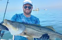 6 Hour Private Fishing Tour in Sarasota with Master Captain Bill