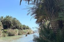 Private Tour Kourtaliotiko Gorge and Preveli Beach /Chania