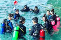 2-Hour Scuba Diving Experience for Beginners in Central Florida