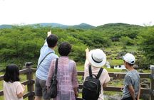 West of Jeju island Bus Tour from Seogwipo city, Jeju island