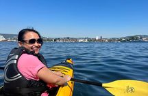 Oslo Sea Kayak Tour: Explore The Incredible Oslofjord