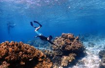 Phuket Dolphin Quest: Racha & Maiton Island Expedition