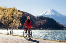 Majestic Mount Fuji: Exclusive Private Day Tour