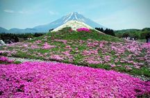 Majestic Mount Fuji: Exclusive Private Day Tour