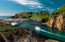 Exclusive 2025: Westman Islands, Puffins and South Coast Tour