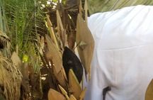 Full Day Buganda Traditions, Culture Sites and Norms Tour 