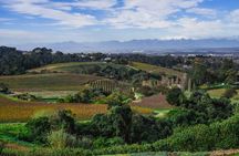 Cape Town Customisable Premium Wine Tour & Tastings