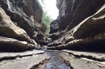 Hells Gate National Park & Lake Naivasha Day Trip from Nairobi