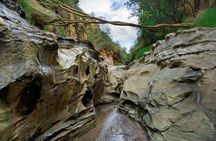 Hells Gate National Park & Lake Naivasha Day Trip from Nairobi