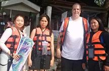 Whaleshark & Sumilon Is and Moalboal Sardines & Turtle Tour