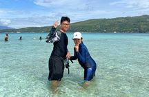 Whaleshark & Sumilon Is and Moalboal Sardines & Turtle Tour