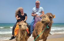 Tangier Private Day Tour From Tarifa Including Ferry & Camel Ride