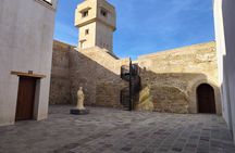 4Hours Private Tour Of Tangier from the Cruise Ship 