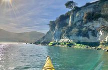 Sick Day Midweek Kayak Tour on Tomales Bay