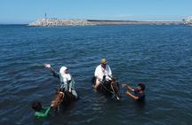 1 hour bali horse riding & Swim at the beach