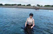 1 hour bali horse riding & Swim at the beach
