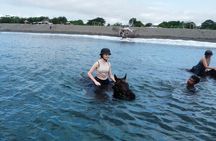 1 hour bali horse riding & Swim at the beach