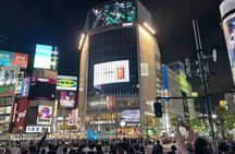  4 Hours Shibuya - Shinjuku Night Tour