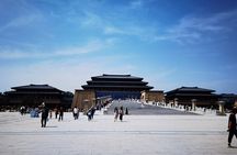 Shaanxi History Museum Qin-Han Branch English guide service