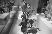 Shaanxi History Museum Qin-Han Branch English guide service
