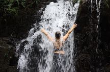 Phuket Deep Roots Jungle to Sea Kayaking and Trekking Adventure