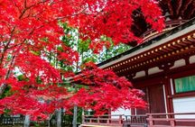 Mt Koya and Kishi Station 1 Day Bus Tour from Osaka