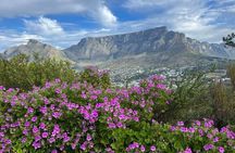 Table Mountain Cape of Good Hope and Penguins Shared Tour