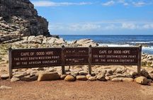 Cape of Good Hope and Penguins Private Tour