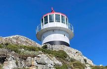 Private Tour to Table Mountain, Penguins Colony and Cape Of Good