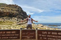 Cape of Good Hope and Penguins Private Tour