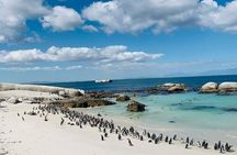  Private Cape Peninsula Tour: Cape Point & Boulders Penguins
