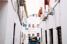 Private Half Day Stone Town Walking Tour