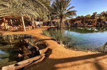 Night excursion to the desert and Berber village from Djerba 