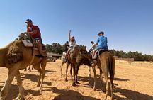 Night excursion to the desert and Berber village from Djerba 