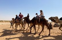 Night excursion to the desert and Berber village from Djerba 