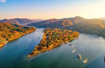 Nami Island and Petite France Private Tour