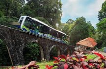  6 Hours Enchanting Exploration in Penang