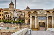 Excursion to Córdoba from Malaga