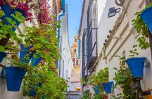 Excursion to Córdoba from Malaga