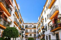 Excursion to Seville with visit and tickets to the Cathedral and Giralda