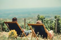 Private half day Burgundy Wine and Food Tour by vintage Defender