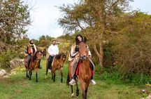 Horse Riding Experience in Riyadh | Tanomah | Jeddah | Al Ula