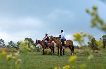 Horse Riding Experience in Riyadh | Tanomah | Jeddah | Al Ula