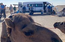Agafay Desert Day Trip From Marrakech​