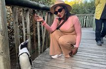 Table Mountain and Penguins Half Day Shared Group Tour