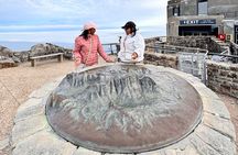 Table Mountain and Penguins Half Day Shared Group Tour